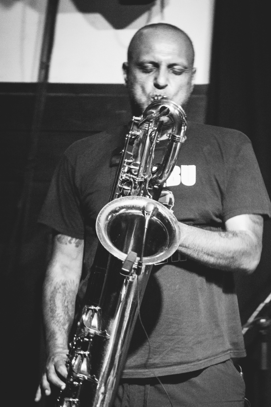 Luca Mai | ZU