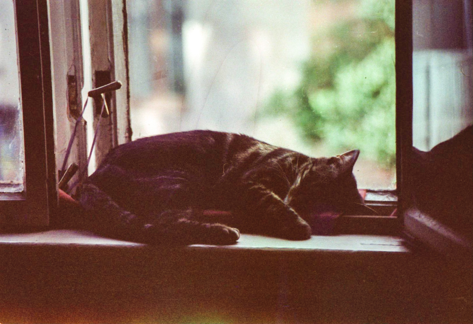Scan20049-2