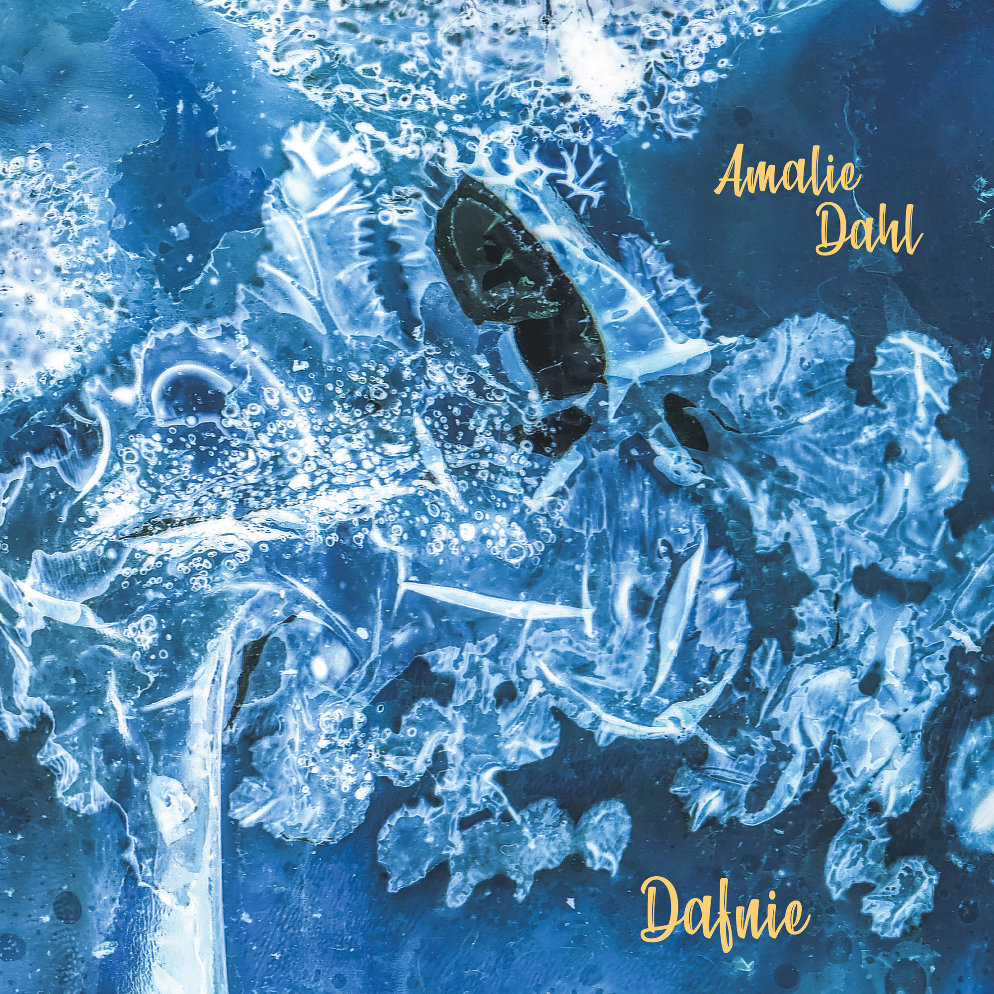 Amalie Dahl&#039;s DAFNIE&lt;br&gt; &quot;Dafnie&quot; - Sonic Transmissions Records&lt;br&gt; Album artwork &amp; layout © Juliane Schütz